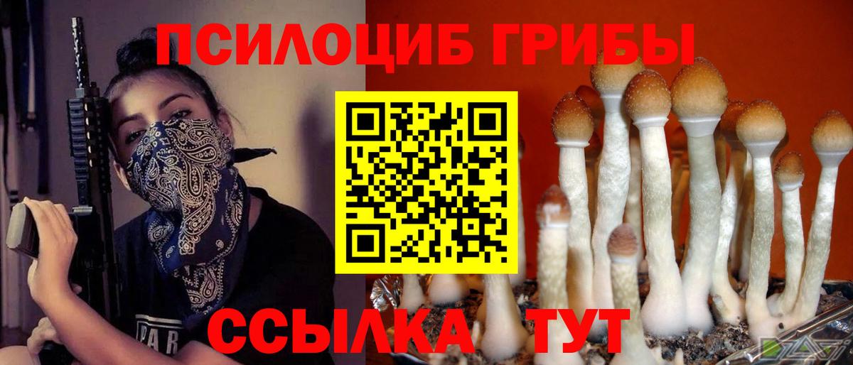 Галлюциногенные грибы Psilocybine cubensis Озёрск
